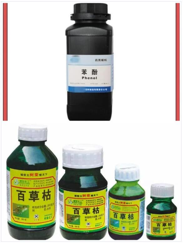 <a href='http://www.dikongroup.com' title='國際貨運(yùn)代理' >國際貨運(yùn)代理</a>
